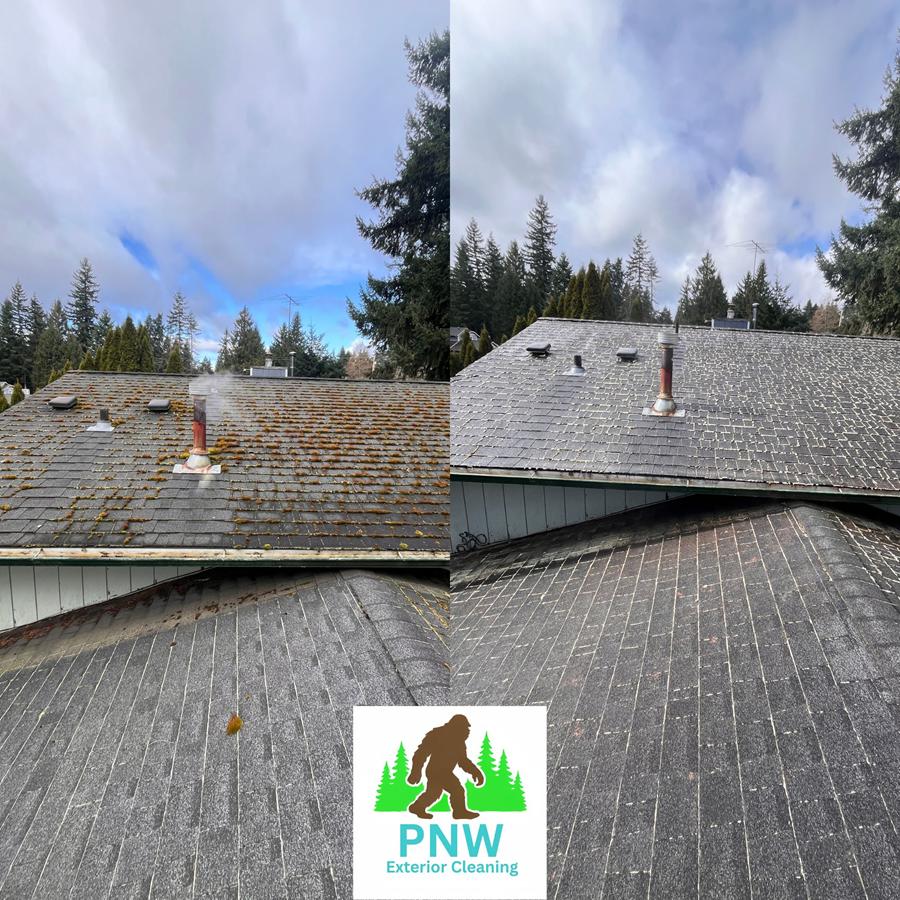 {Roof and Gutter Cleaning in Bonney Lake, WA Thumbnail